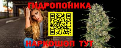 индика Краснодар