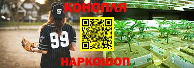 ПСИЛОЦИБИНОВЫЕ ГРИБЫ Кунгур