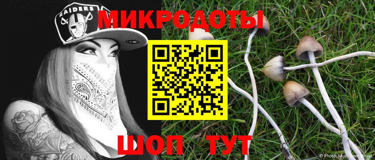 Чусовой  Псилоцибиновые грибы ЛСД  Галлюциногенные грибы MAGIC MUSHROOMS  Вход с VPN 